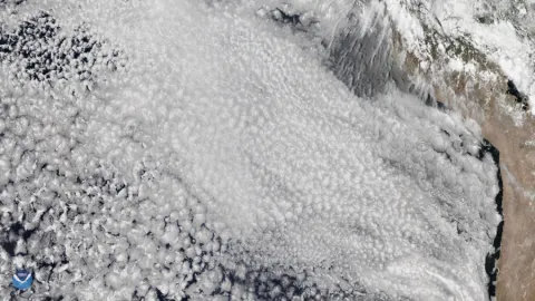 Marine Stratocumulus Clouds